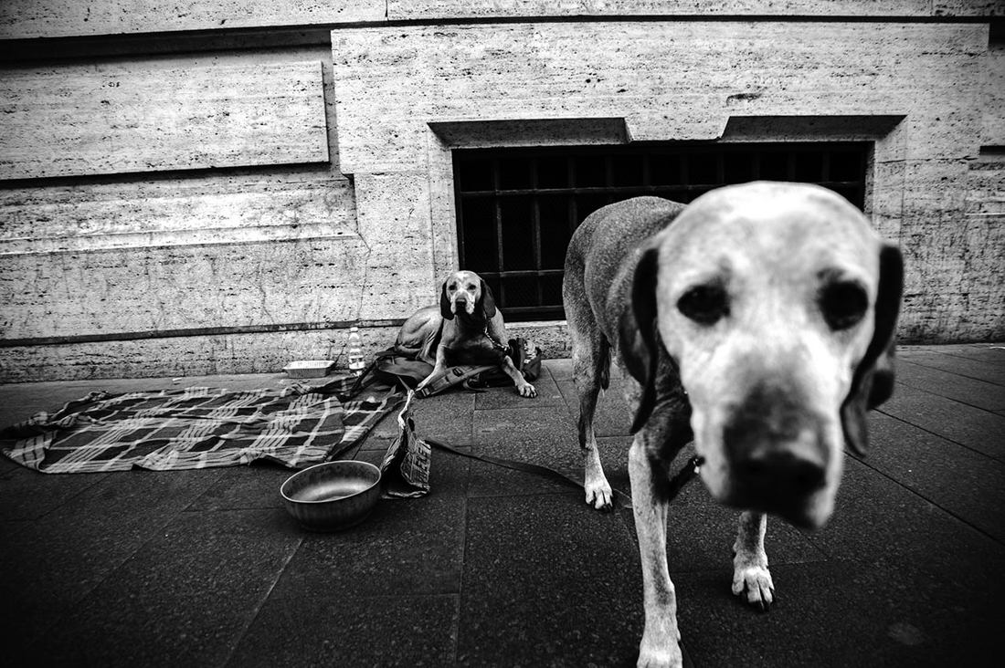 Roma Street Photography 