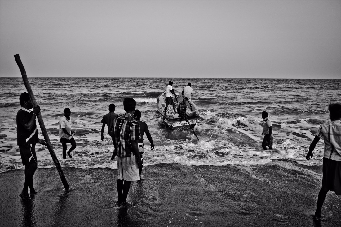 Humans and Water