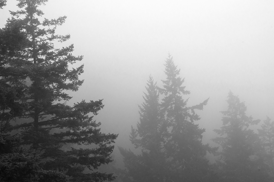 A Compendium of Longing