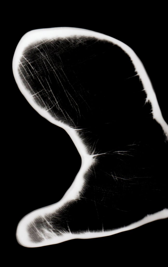 The hand of the monkey