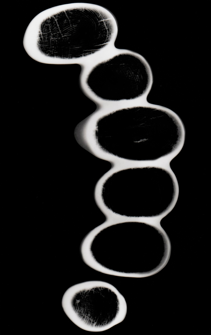 The hand of the monkey