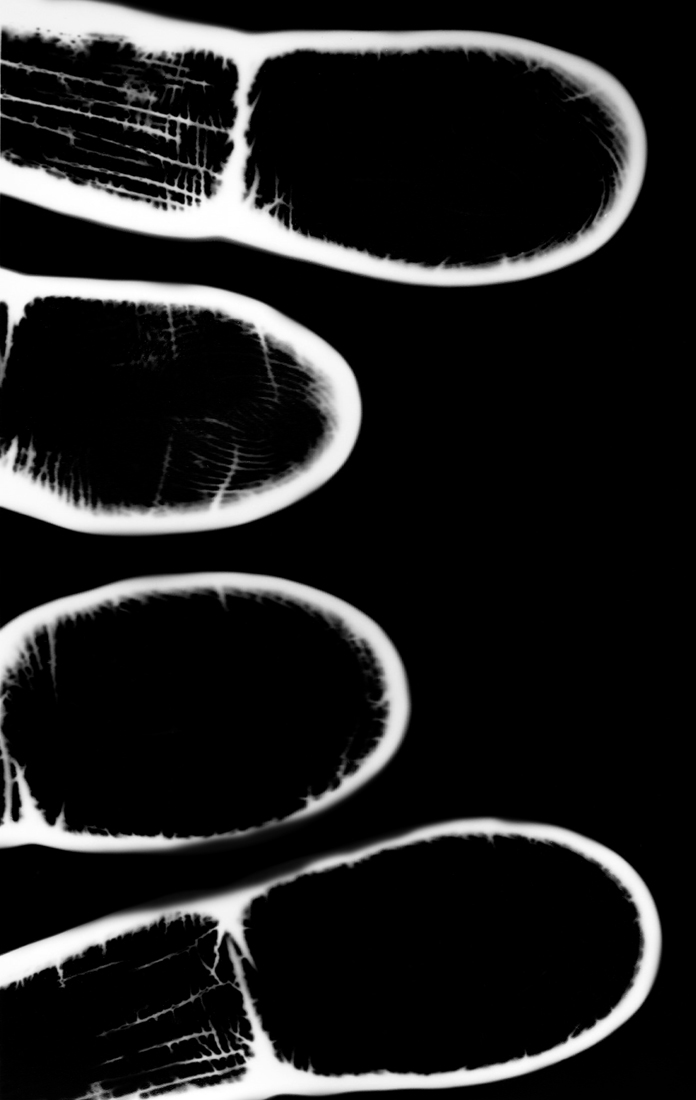 The hand of the monkey