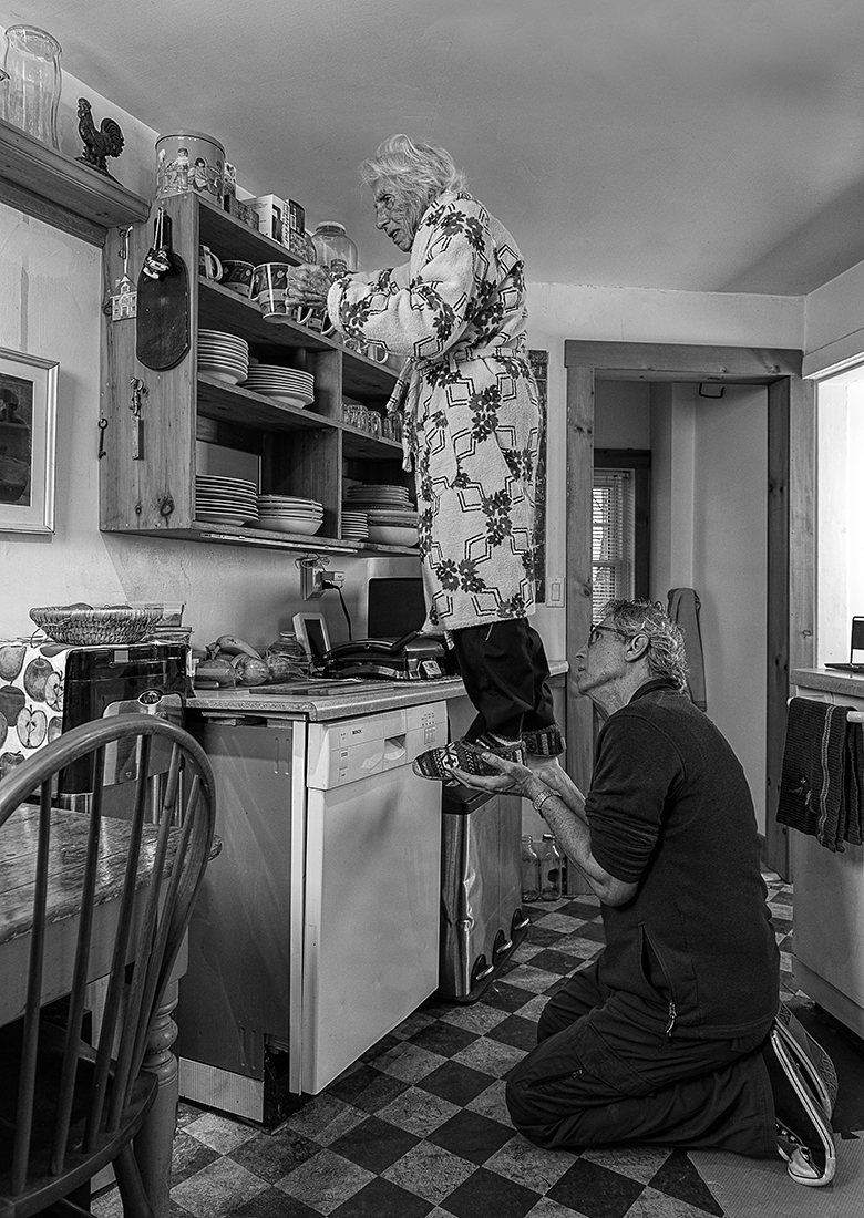 The Domestic Series
