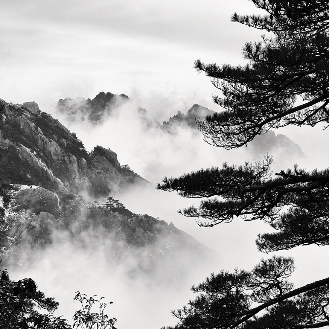 Mystic Mountain