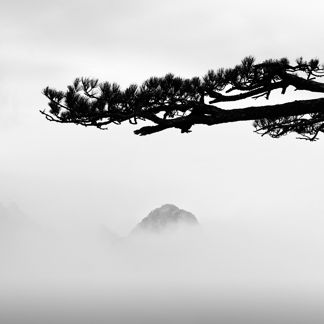 Mystic Mountain