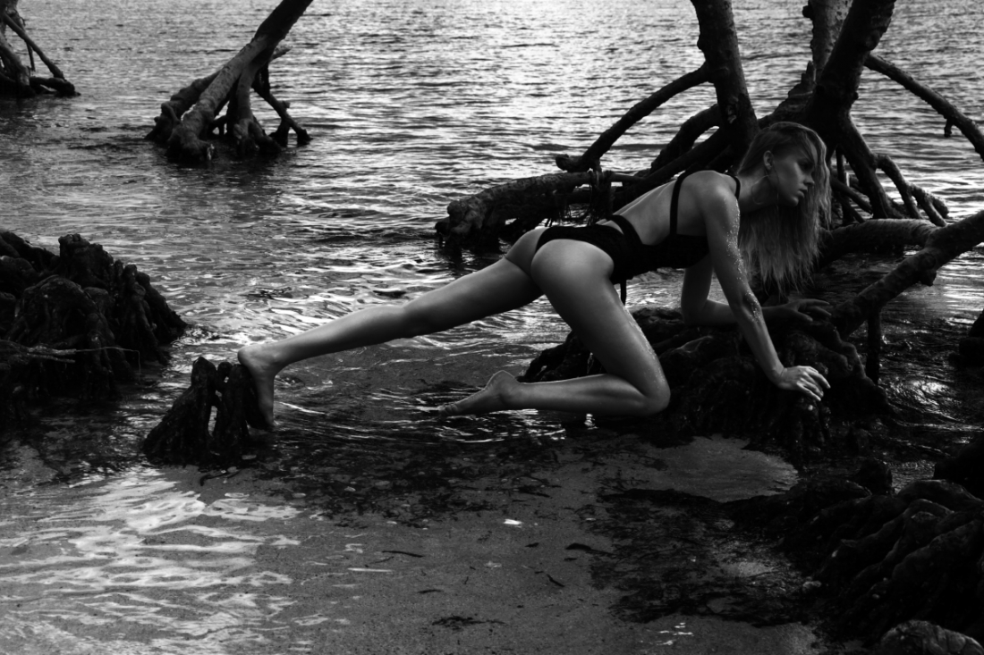 Wildness 
