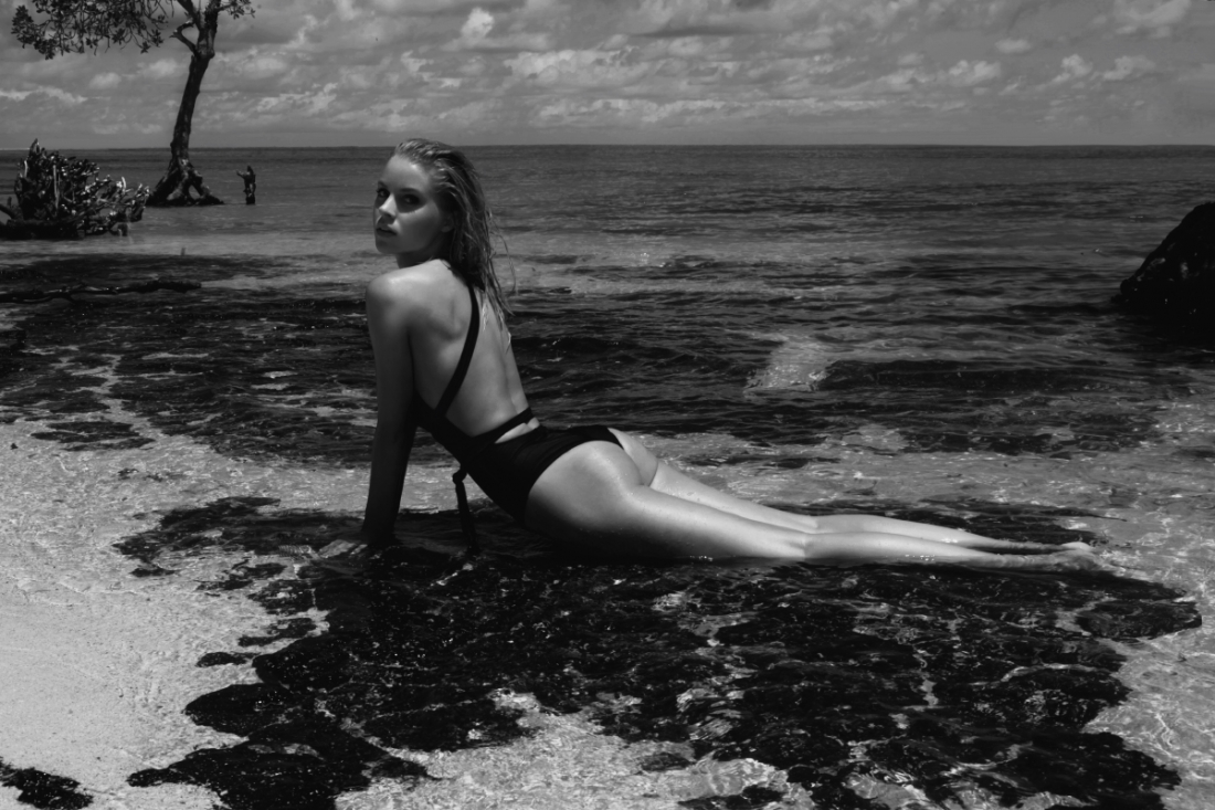 Wildness 