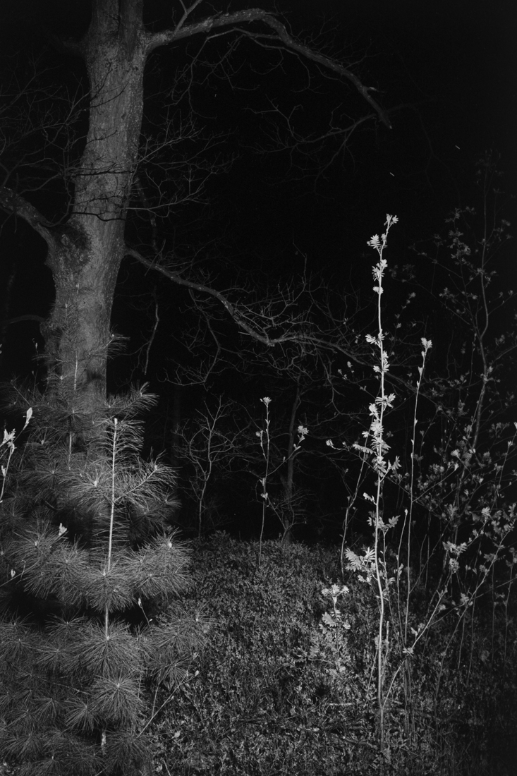 Durch die Nacht (Through The Night)