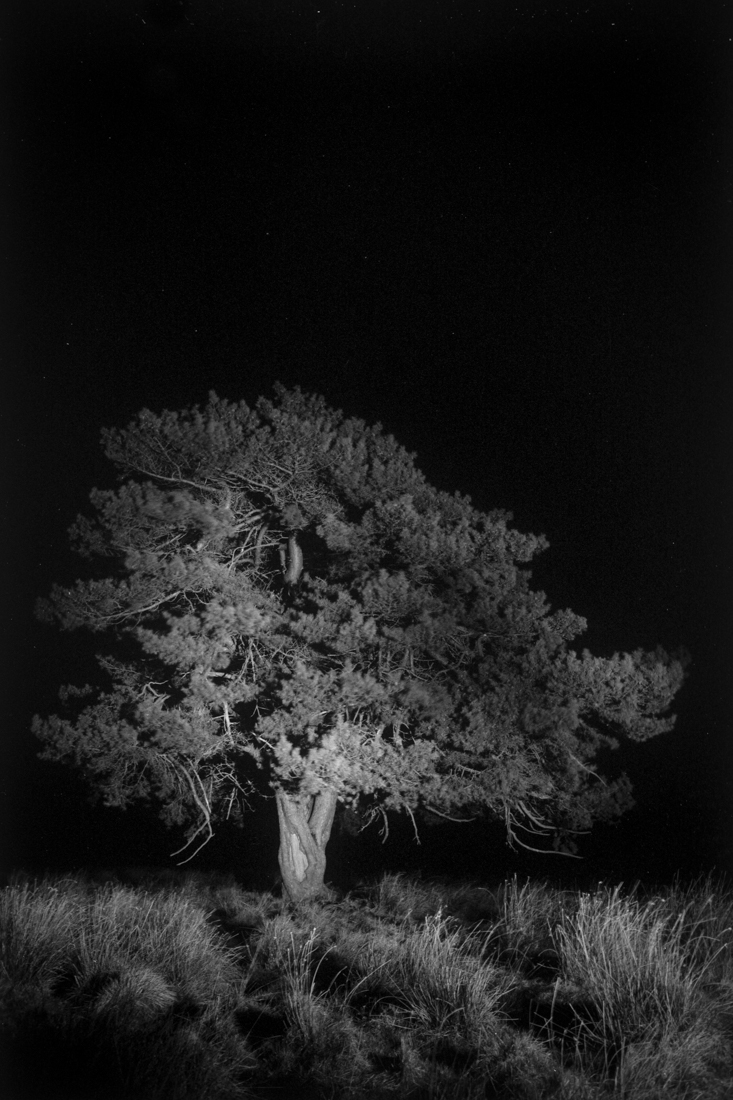 Durch die Nacht (Through The Night)