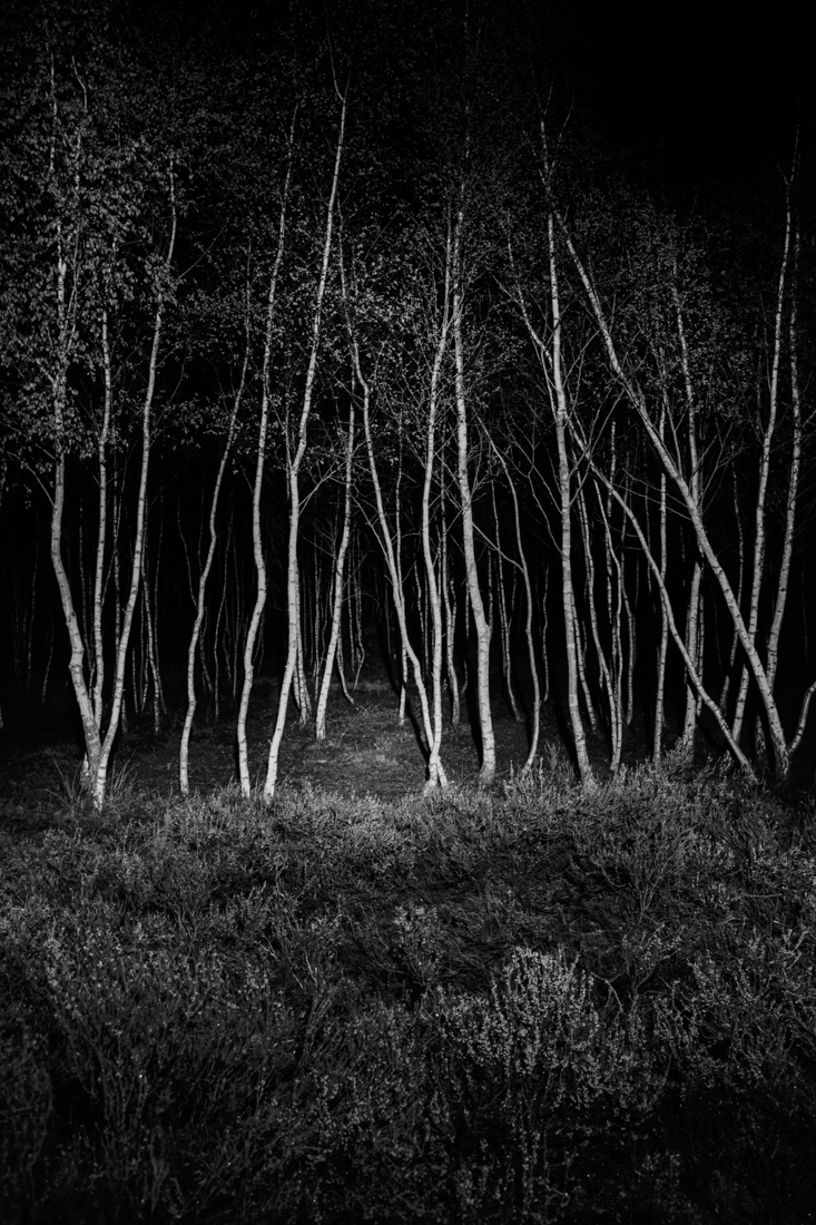 Durch die Nacht (Through The Night)