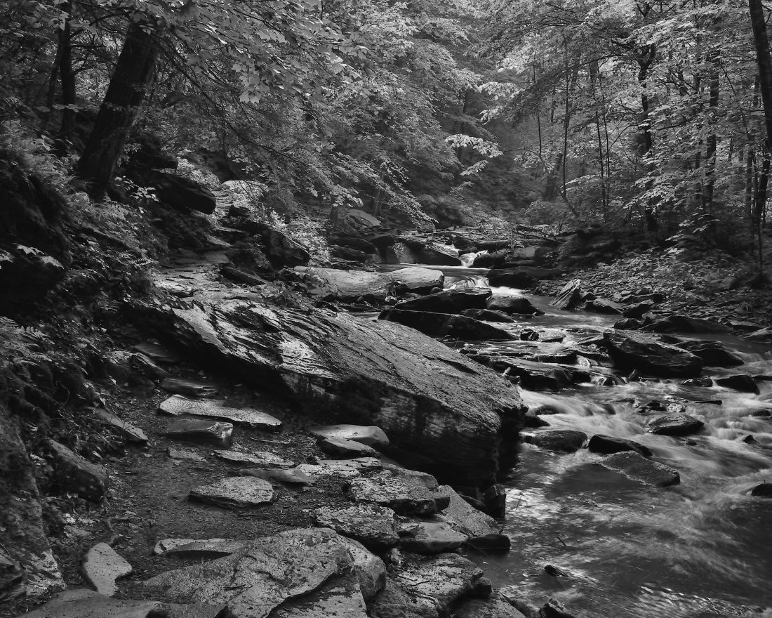 The Falls Trail at Ricketts Glen.