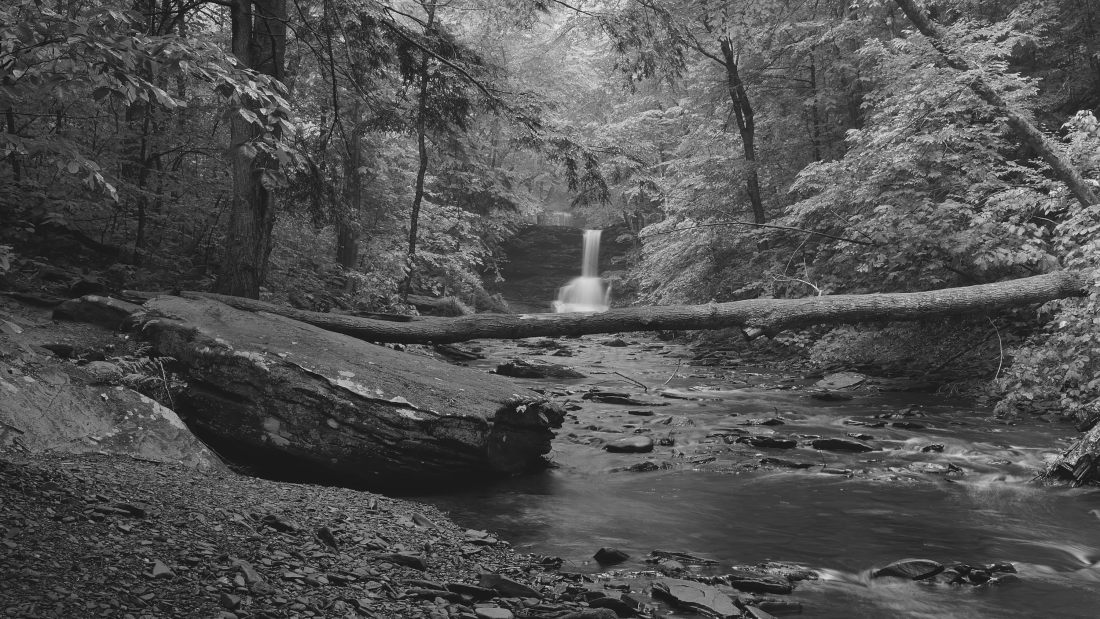 The Falls Trail at Ricketts Glen.