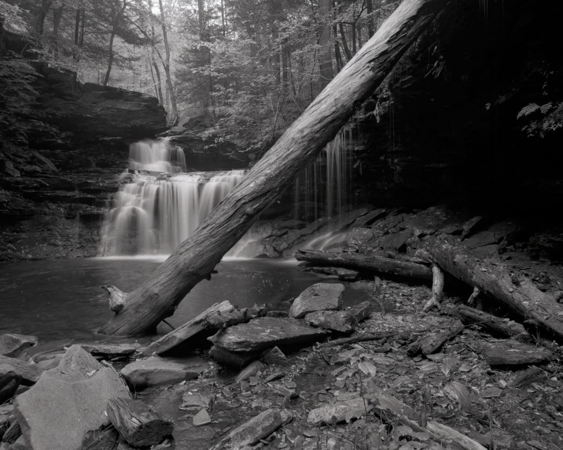 The Falls Trail at Ricketts Glen.