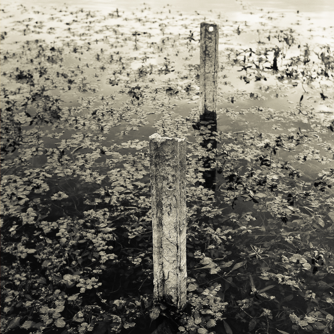 Near River