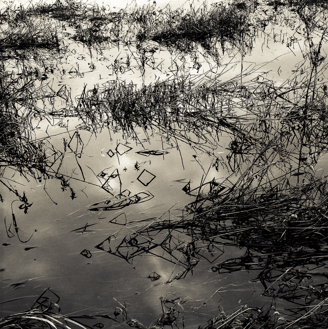 Near River