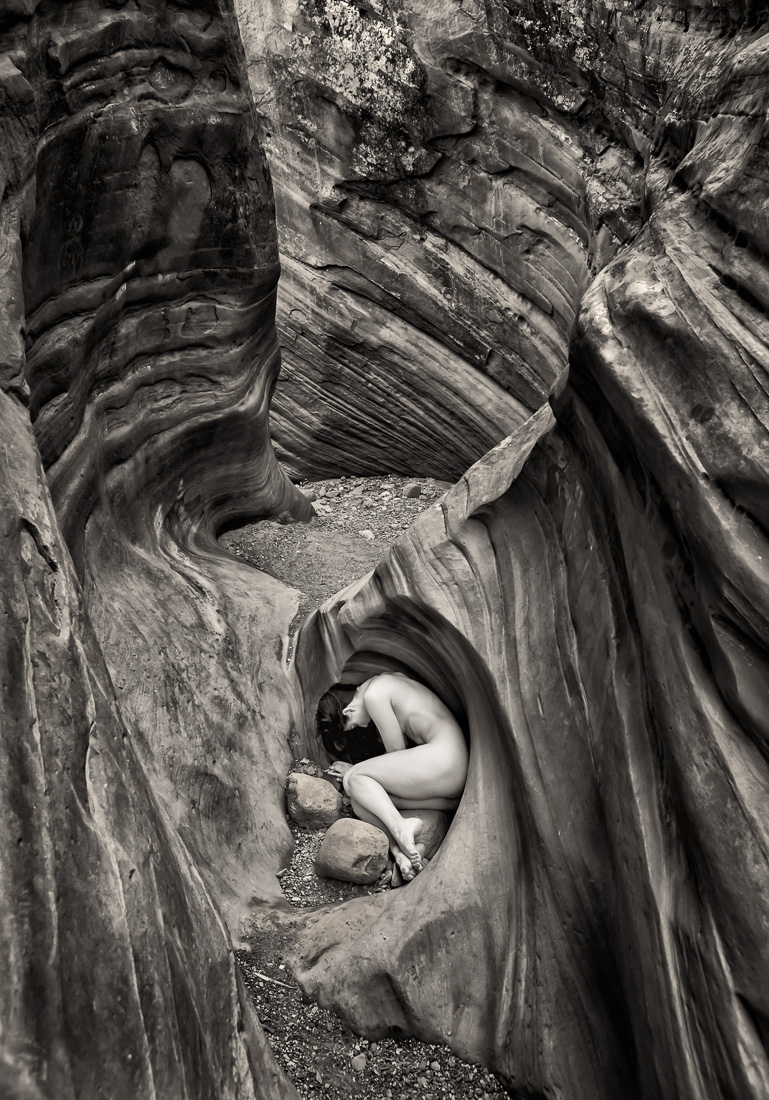 Gestation