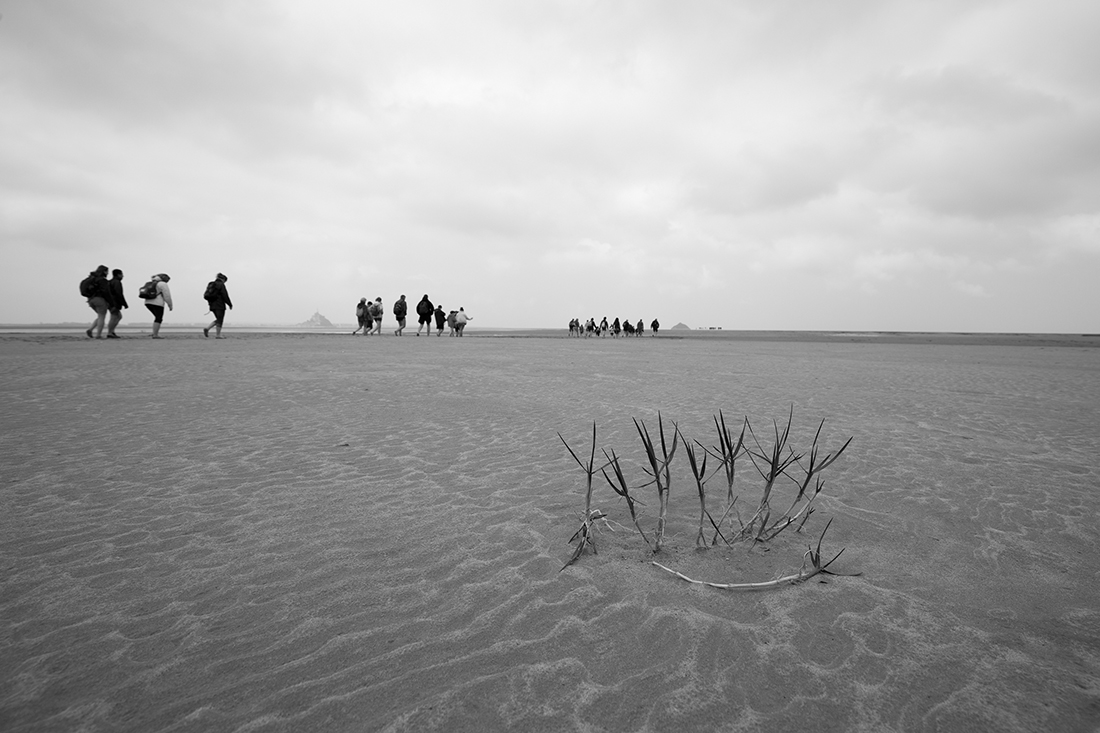 The bay of Mont-Saint-Michel