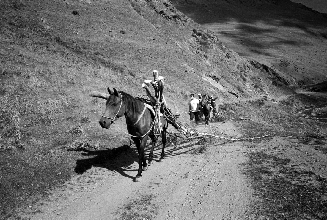 Tusheti