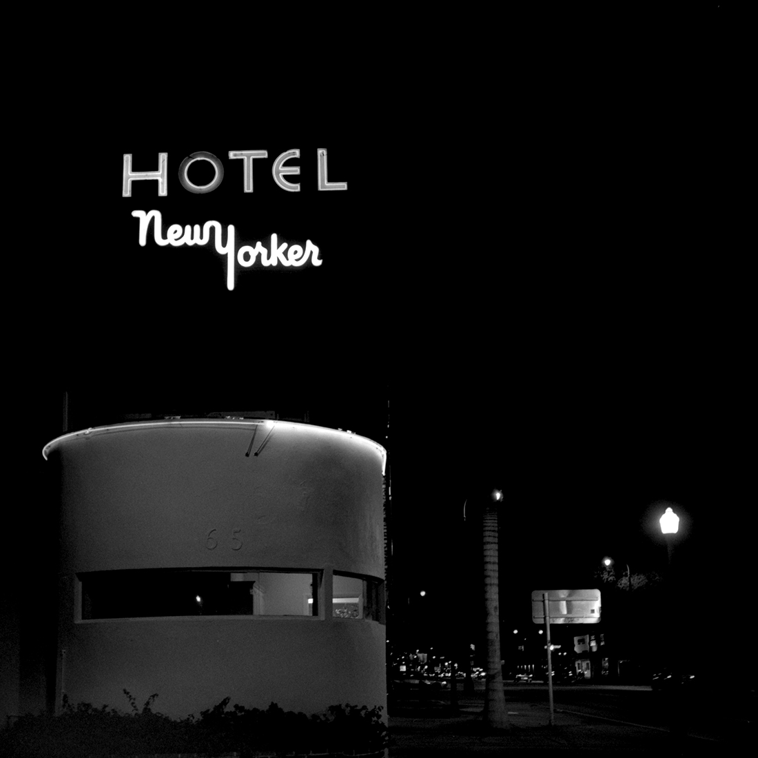 Nocturnal Animals