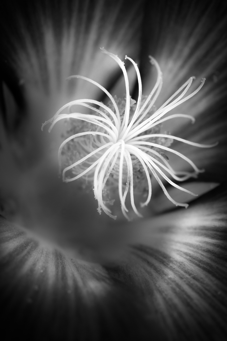 Expressions of Infinity
