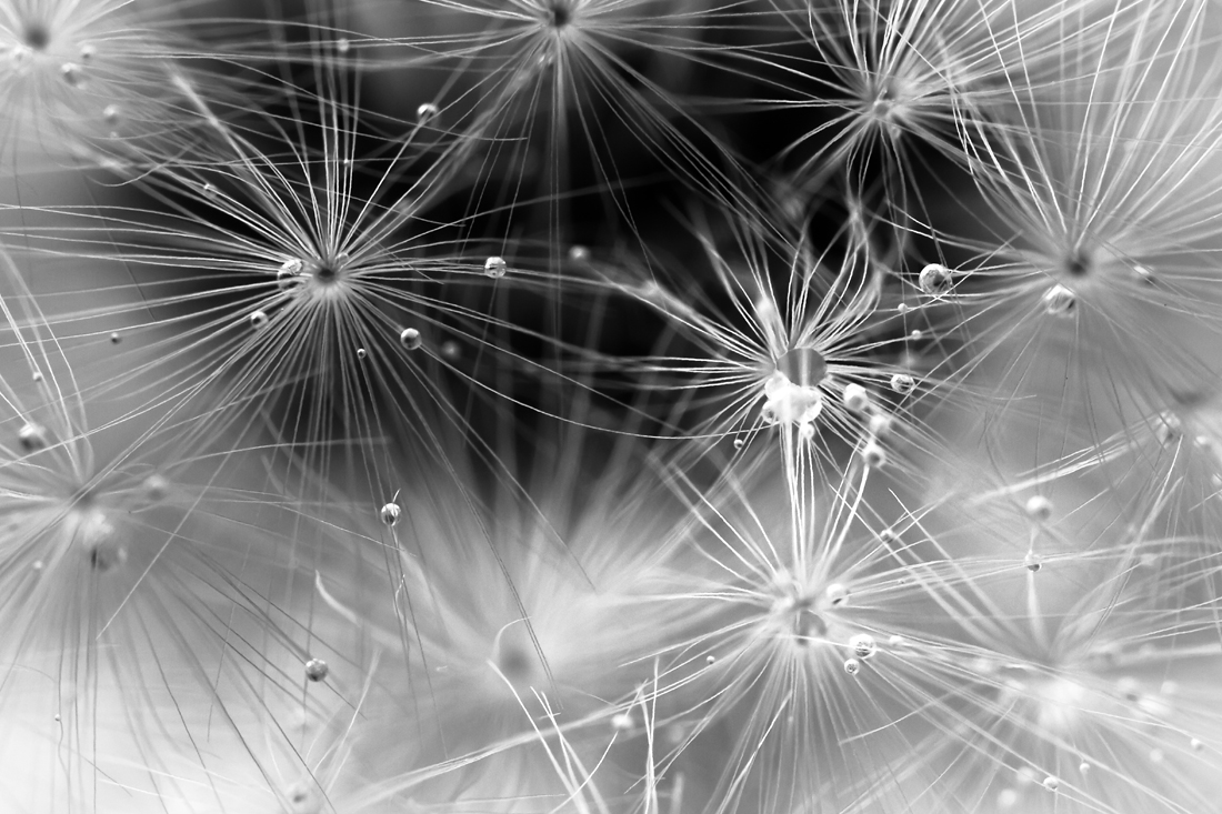 Expressions of Infinity