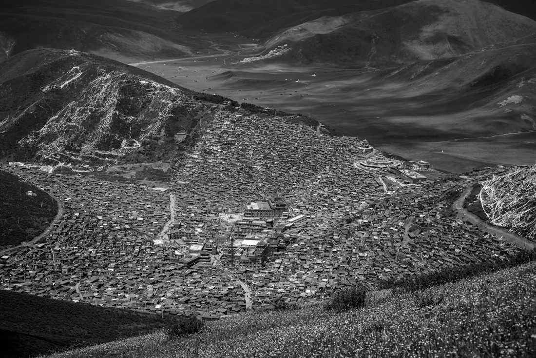 Boxes on the hillside