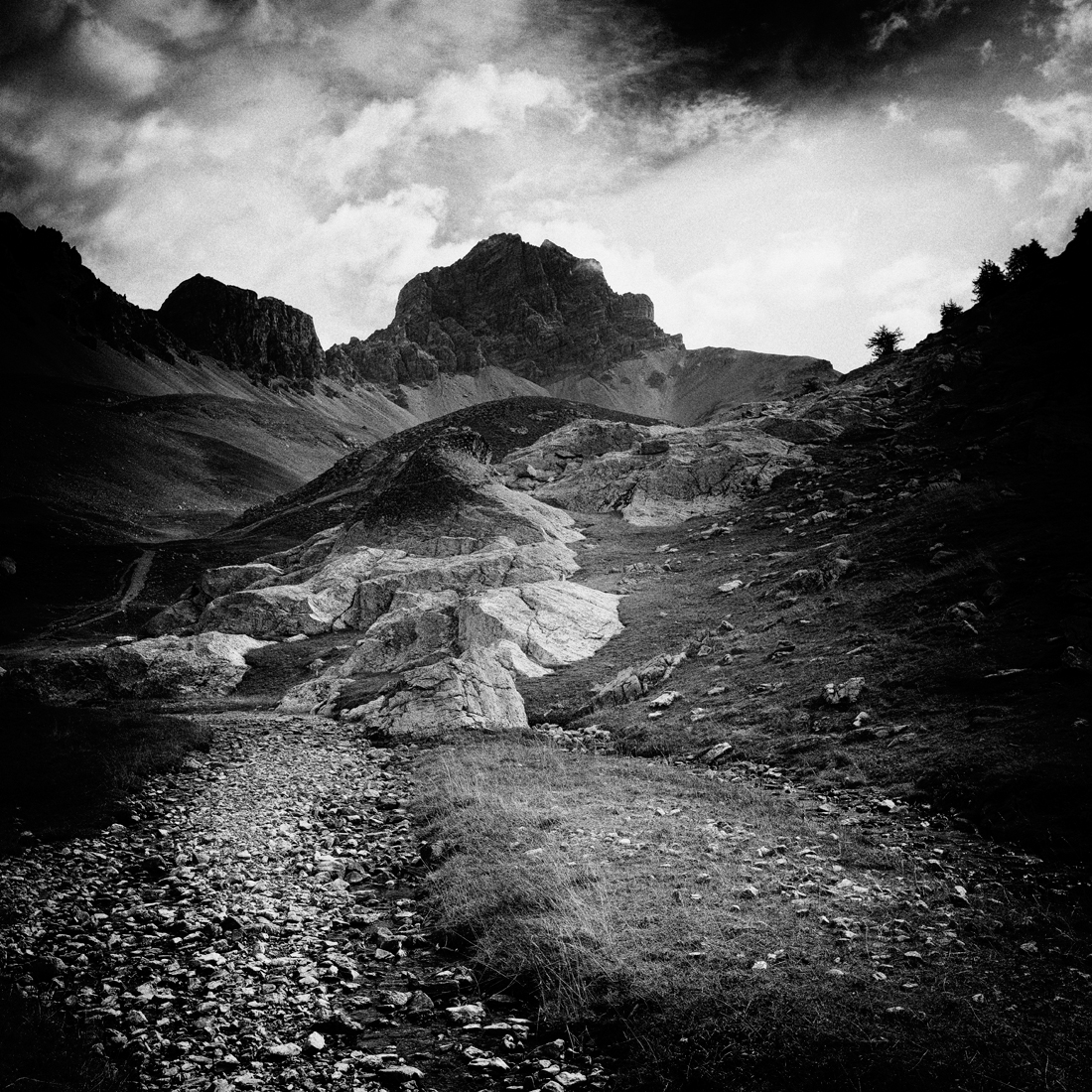 The Lost World