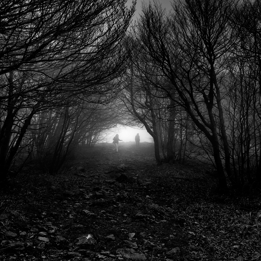 Lost
