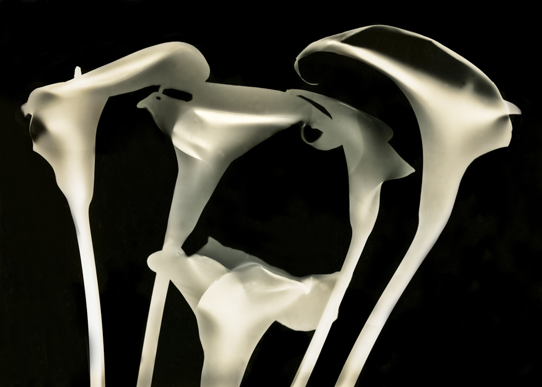 The Intimacy of the Photogram