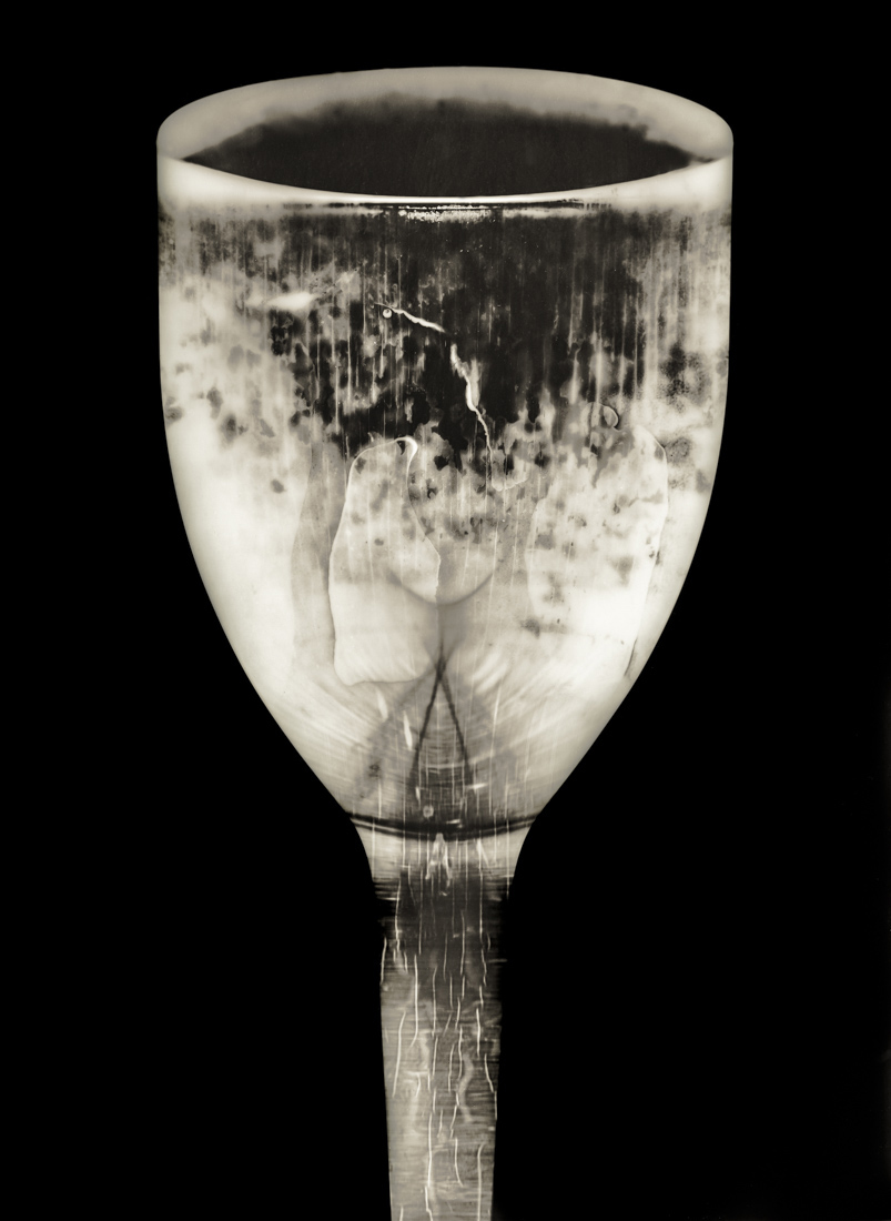 The Intimacy of the Photogram