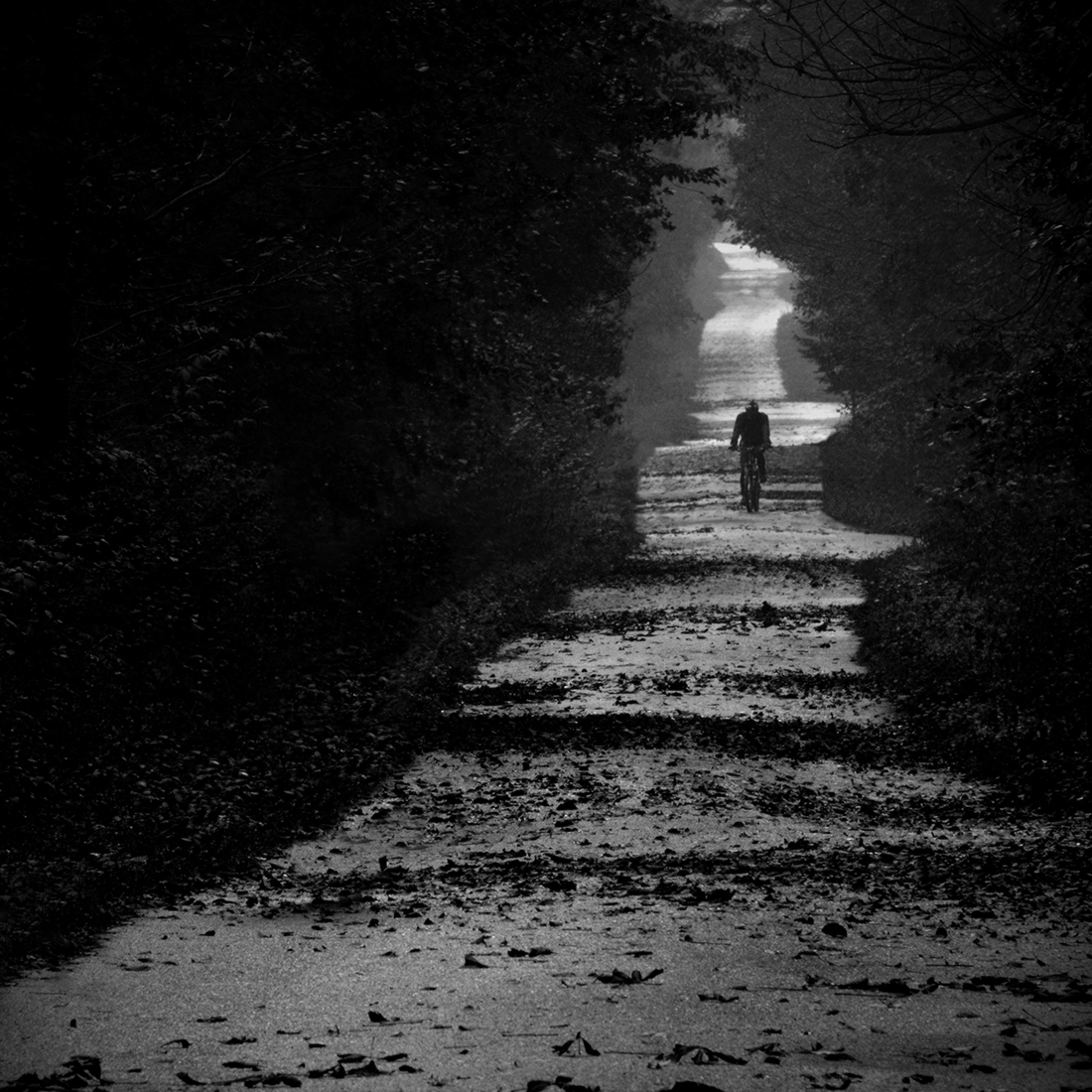 Solitariness