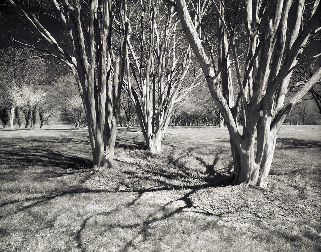 Infrared Landscapes