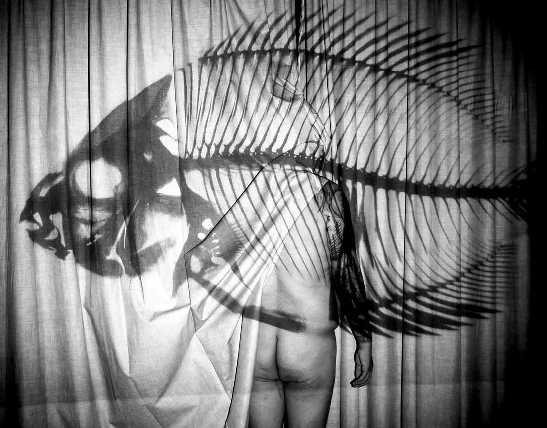 Tales of the Bedroom