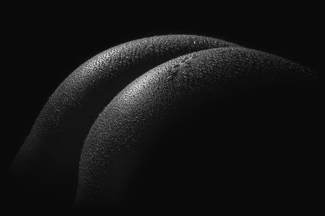 Feminine Landscapes