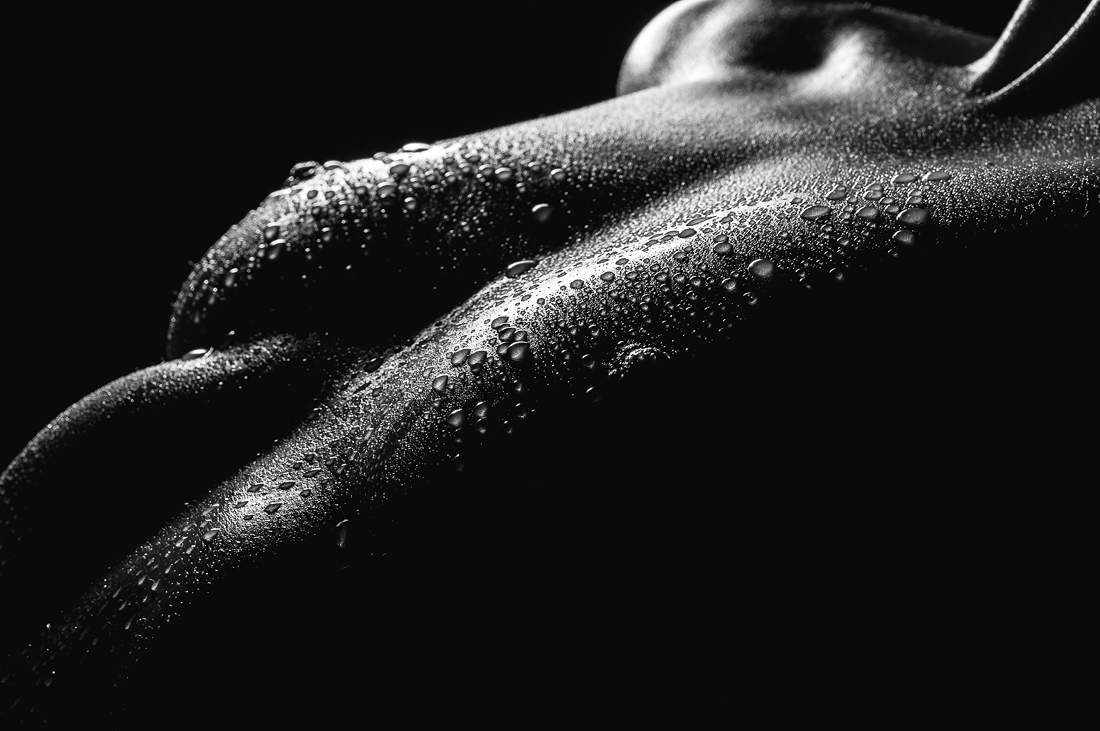 Feminine Landscapes