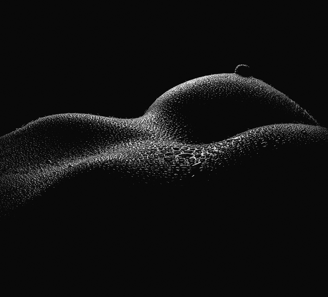 Feminine Landscapes