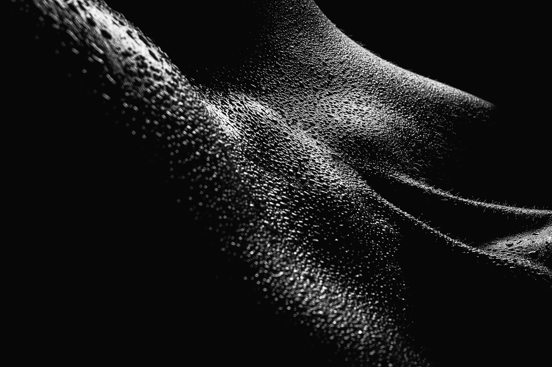 Feminine Landscapes