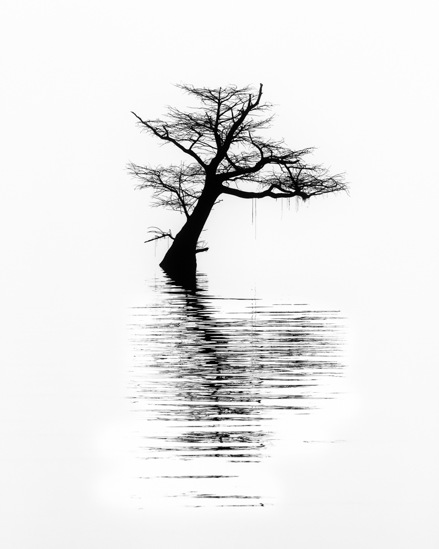 Ode to Solitude