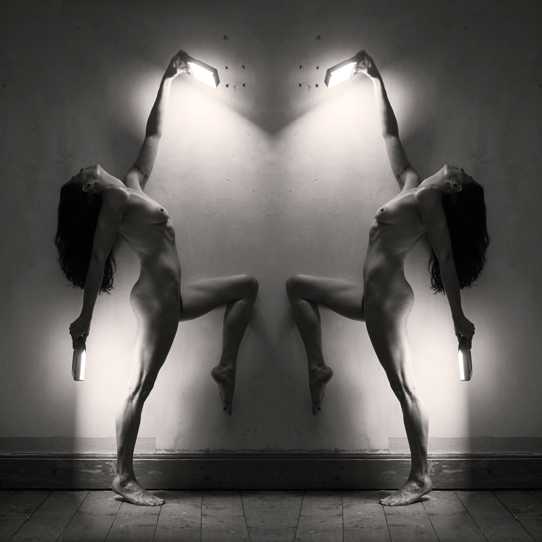 The Alternative Light Project