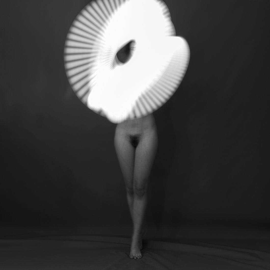 The Alternative Light Project