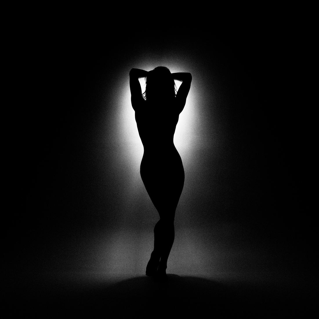 The Alternative Light Project