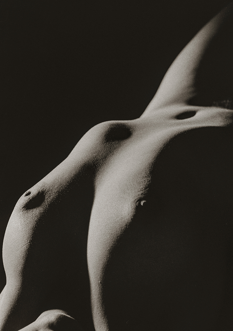 Desnudo