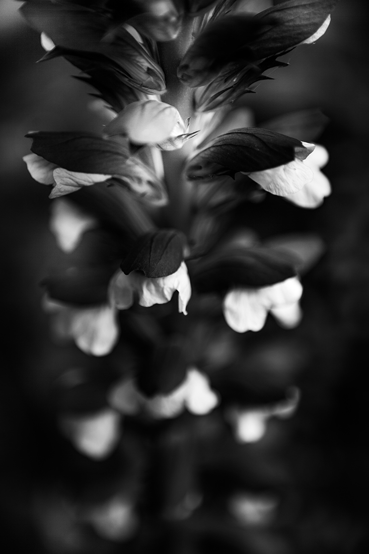 Black touch