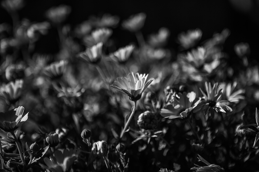Black touch