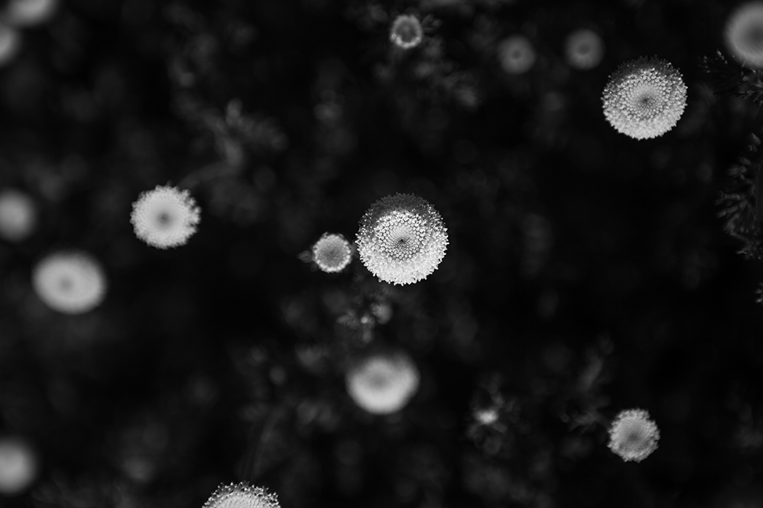 Black touch