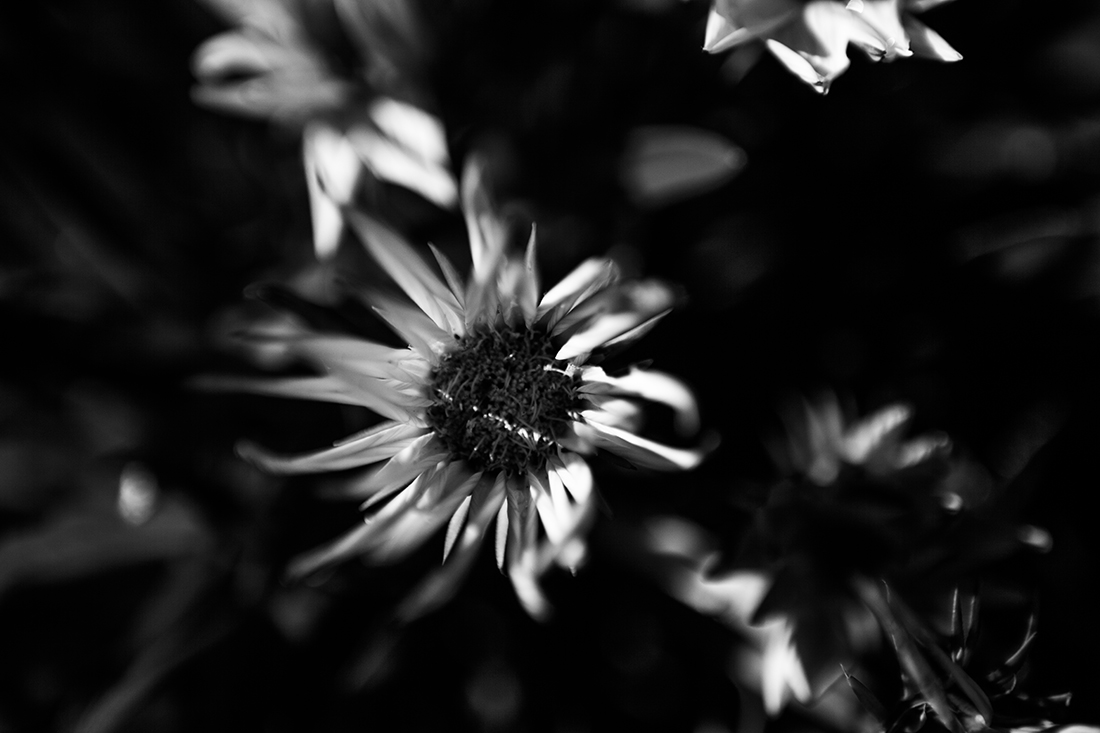 Black touch