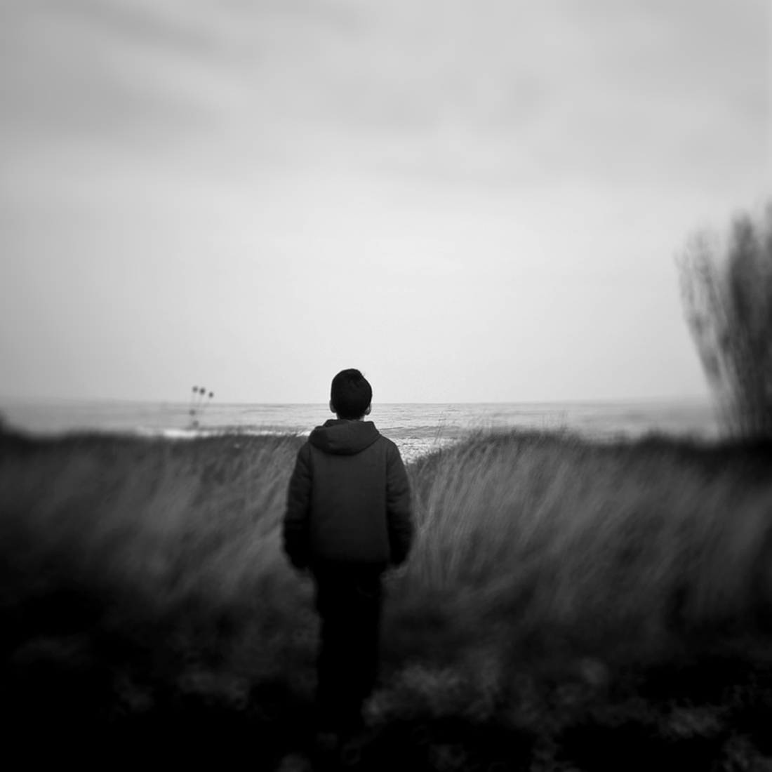 I am a dreamer