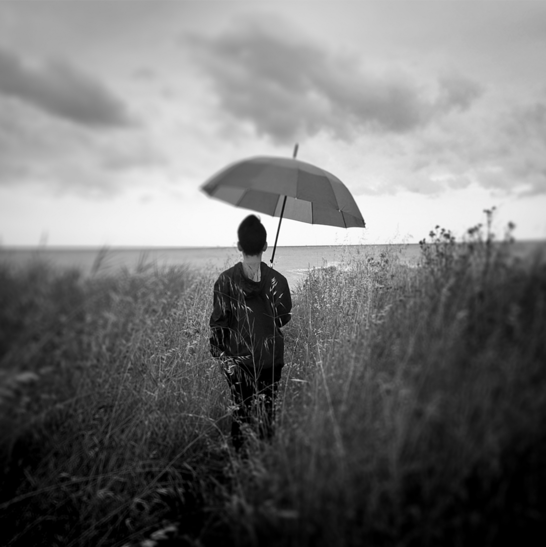 I am a dreamer