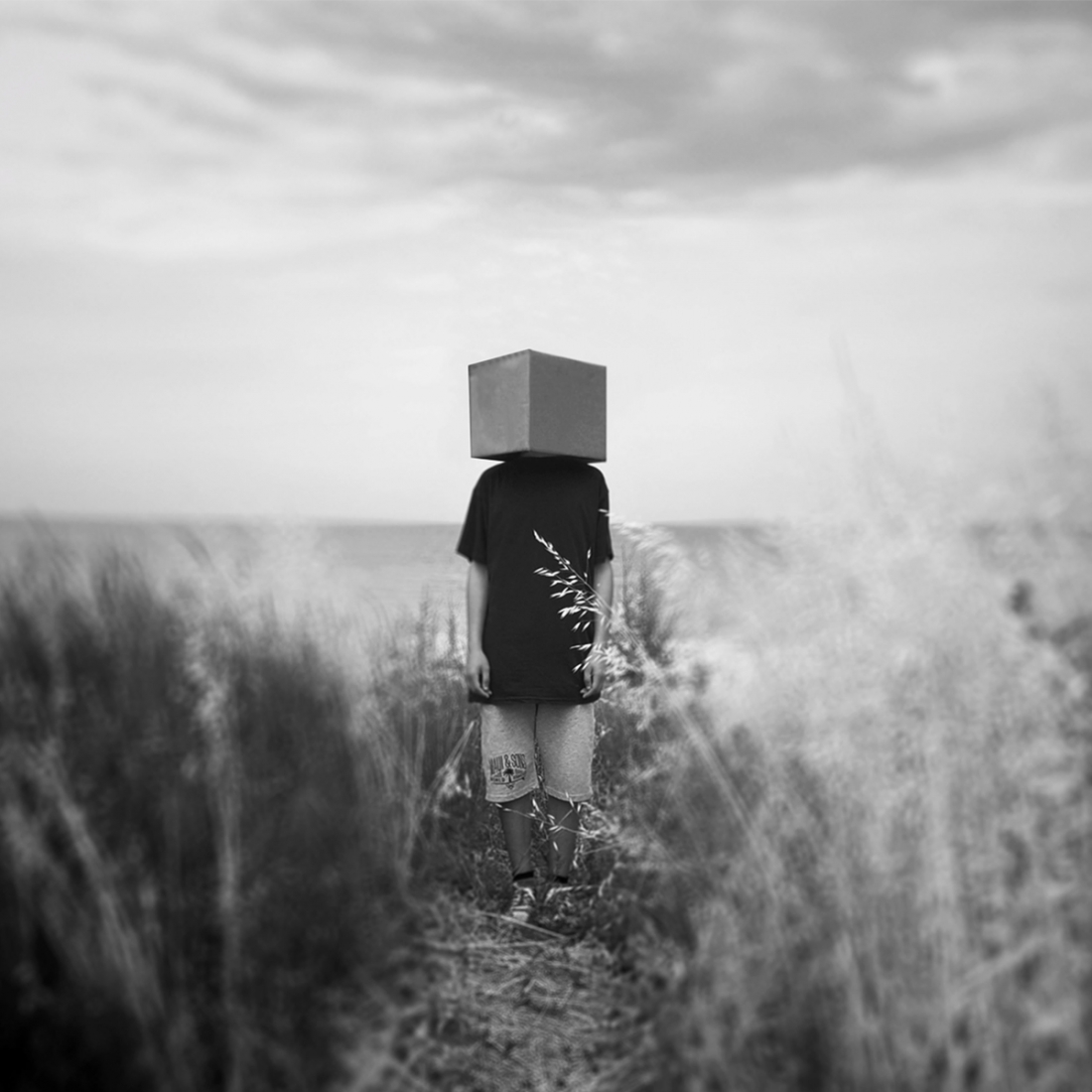 I am a dreamer