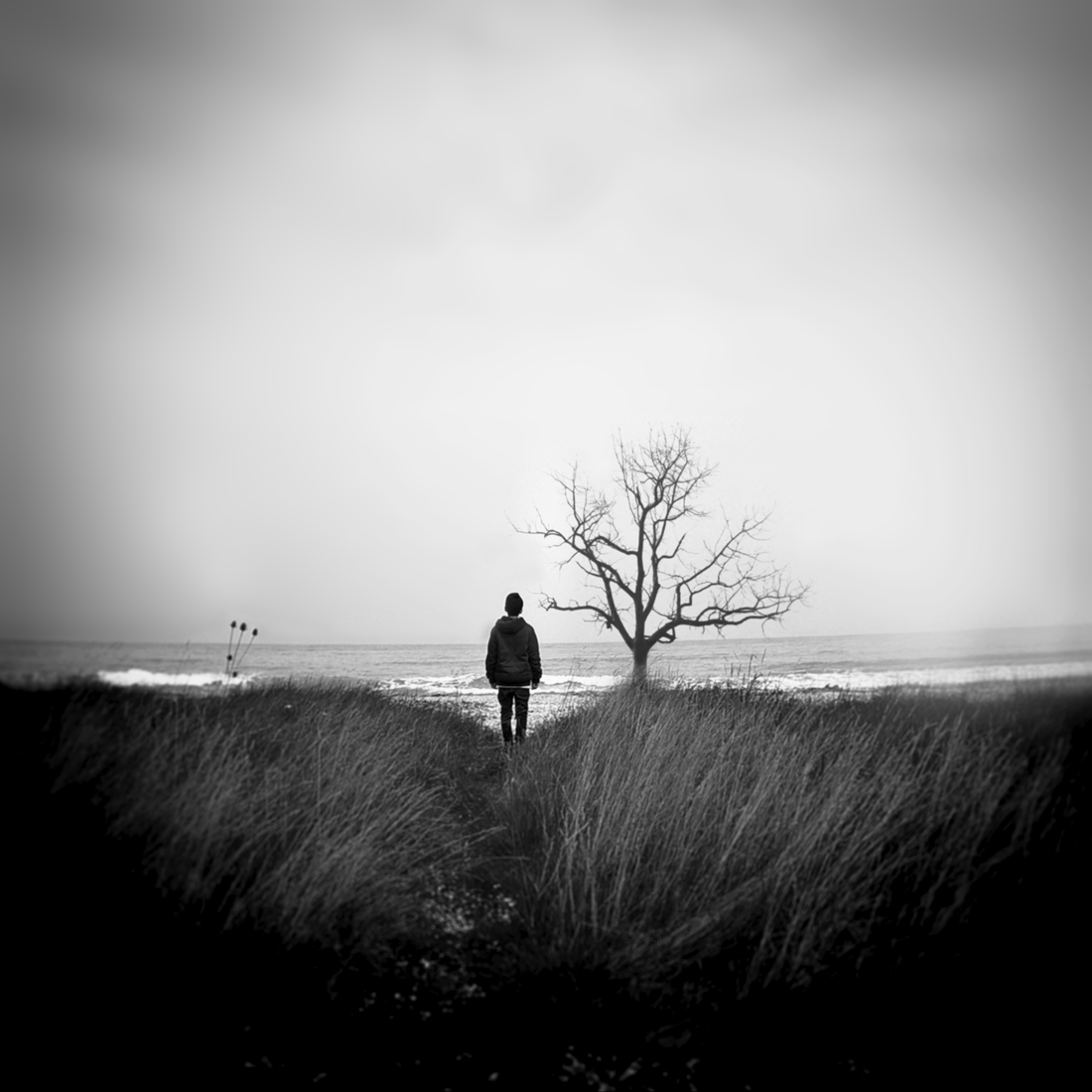 I am a dreamer